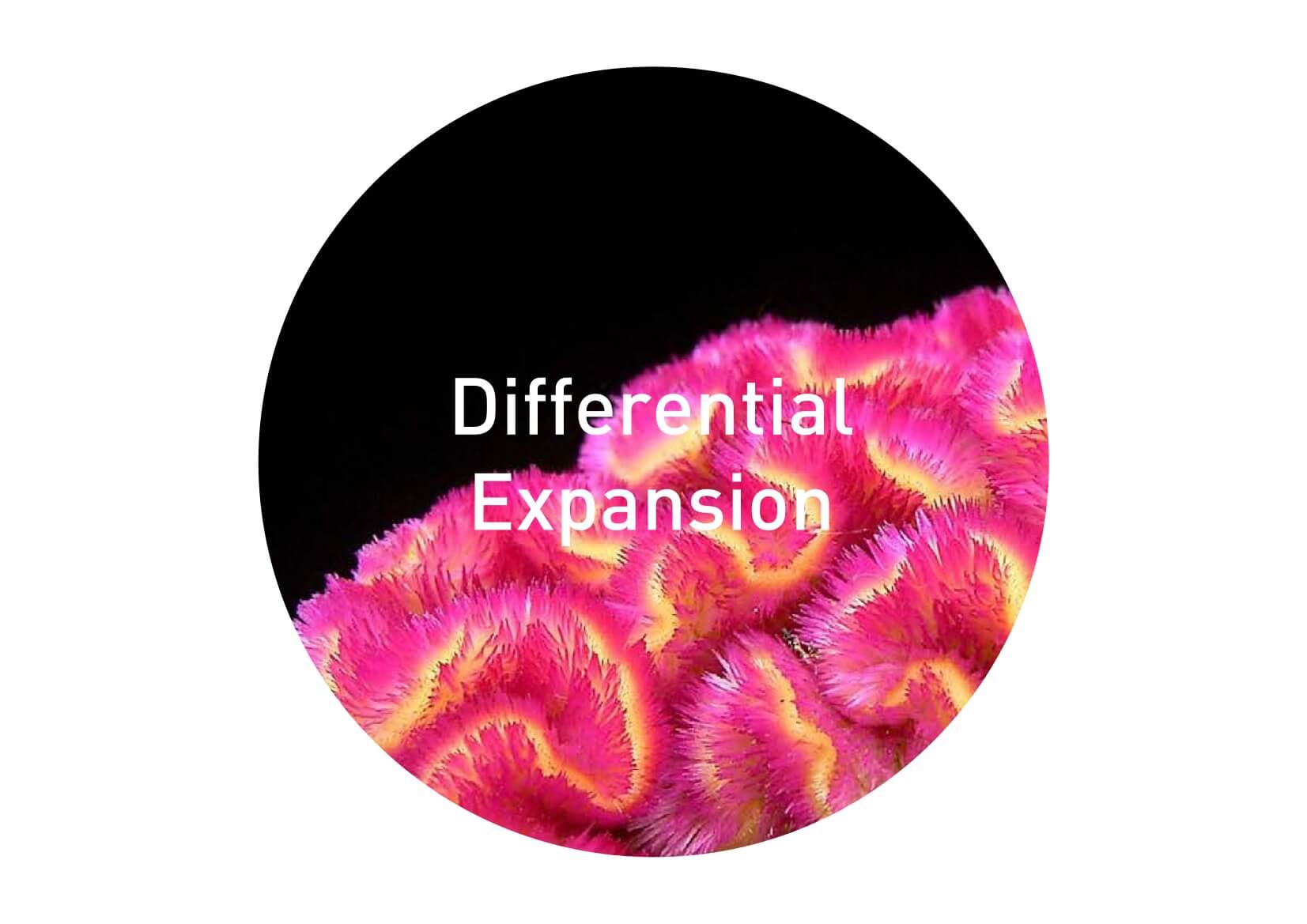 Differential Expansion